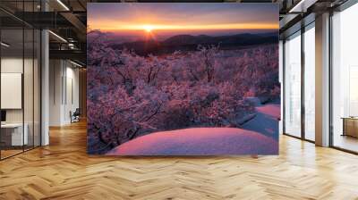 An icy sunrise in Shenandoah National Park as the golden light illuminates the rime ice covered forests at the higher elevations of the park. Wall mural