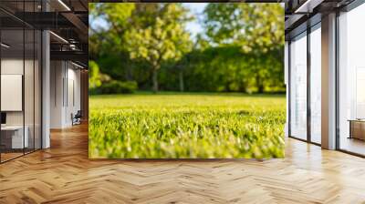 Ground level, shallow focus view of a newly cut, well maintained garden lawn seen just before dusk. The background shows a large willow tree situated next to a large pond. Wall mural