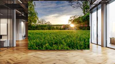 Sunset view of a large, well maintained large garden seen in early summer, showing the distant sun about to set, producing a warm light just before dusk. The grass has recently been cut. Wall mural