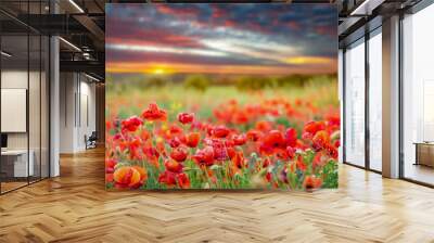 A field of poppies at sunset, Denmark	
 Wall mural