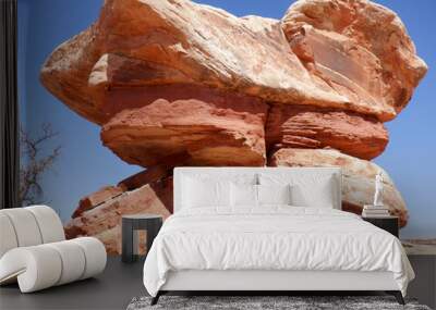 Curious rock formation in the Bears Ears wilderness area of Southern Utah.   Wall mural