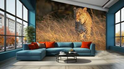 Leopard stands in long grass at dawn Wall mural