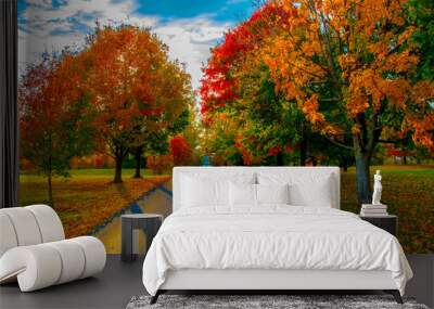 Fall Trees Wall mural