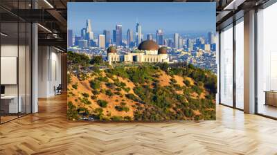 Griffith Observatory and Los Angeles skyline Wall mural