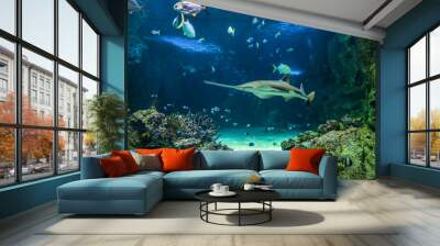 Large sawfish and other fishes swimming in a large aquarium Wall mural