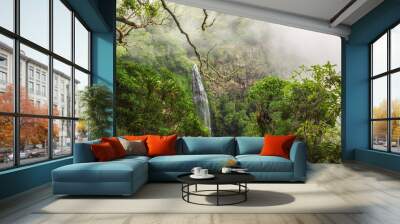 Morans falls on Morans Creek in Gondwana Rainforests, Queensland, Australia Wall mural