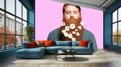 A bearded man with a decorated beard for the spring holiday on the pink background. Flower in the beard. Beautiful bearded man. Wall mural