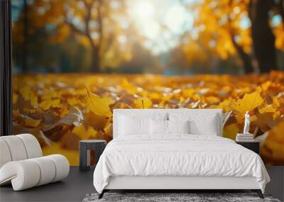 Beautiful yellow and orange leaves in an autumn park against sunny day park background low angle photo Wall mural