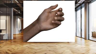 African american black hand gesture isolated on white background Wall mural