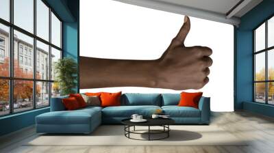 African american black hand gesture isolated on white background Wall mural