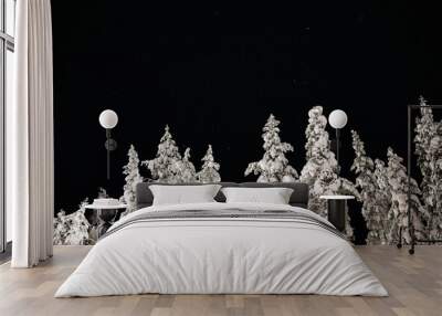 A night shot of a clear sky full of stars, trees covered by snow below Wall mural