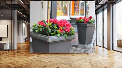 Flowers on the street. Delft,  Netherlands Wall mural