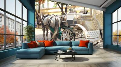 Horses drawn carriage on summer city street Wall mural