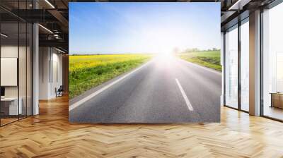 Asphalt road among the summer field Wall mural