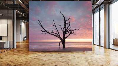 Botany Bay beach at cloudy sunset Wall mural