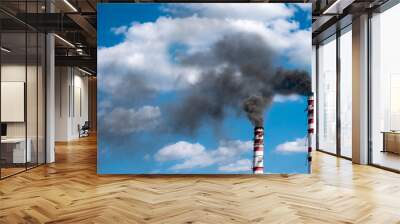 industrial smoke from chimney on blue sky Wall mural