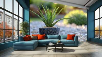 Aloe vera plant with healing properties, suitable for wellness concepts. Wall mural