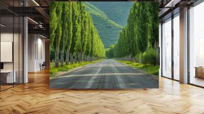 Poplar Tree Lined Road: Symmetrical rows of trees along a country road.  Wall mural