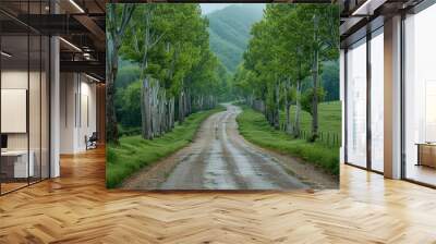 Poplar Tree Lined Road: Symmetrical rows of trees along a country road.  Wall mural