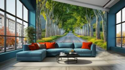 Poplar Tree Lined Road: Symmetrical rows of trees along a country road.  Wall mural