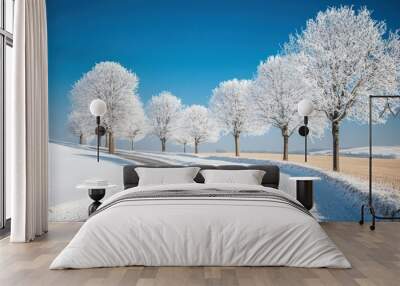 Snow-Covered Trees Lining a Winding Road in a Winter Landscape Wall mural