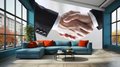 Businessmen shaking hand after agreement Wall mural