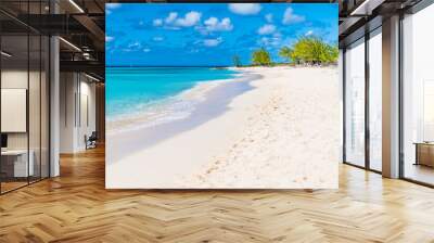 A view along an idyllic shoreline on the island of Grand Turk on a bright sunny morning Wall mural