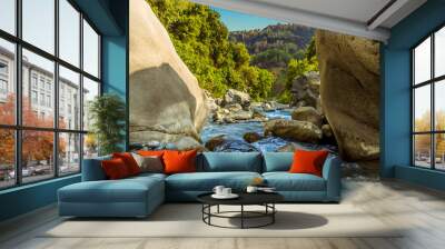 A view between two large volcanic boulders of the course of  the Alcantara river near Taormina, Sicily in summer Wall mural