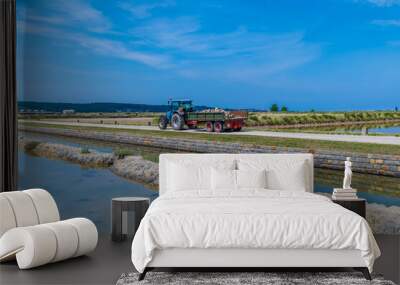 A view of activity at the salt pans at Secovlje, near to Piran, Slovenia in summertime Wall mural