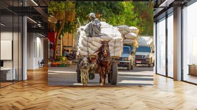 An overloaded trailer pulled by a small donkey and a horse through the street of Luxor, Egypt in summer Wall mural