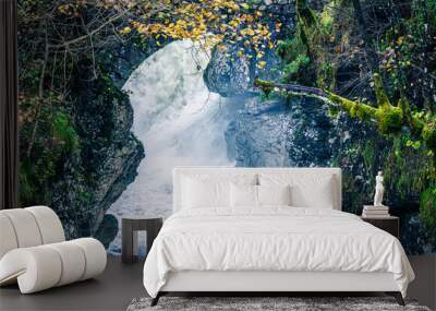 Autumn in Val Raccolana. Between peaks, lakes and streams. Julian Alps Wall mural