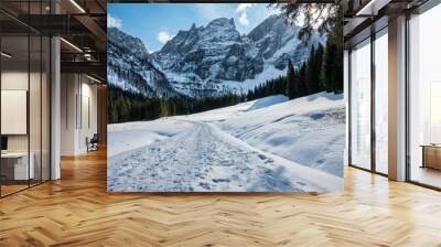 The wild Riofreddo Valley nestled in the Julian Alps. Wall mural