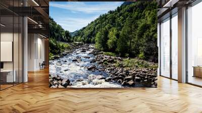 Creek in Adirondack mountains, upstate New York, USA. Transportation, travel, explore, vacation, summer, destination, driving and nature concept Wall mural