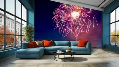 Fireworks on summer night Wall mural