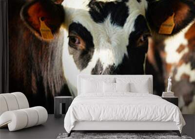 Animal ferme vache 317 Wall mural