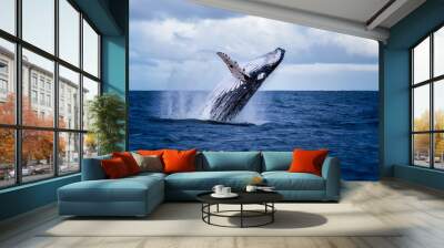 Humpback whale jumping out of the water in Australia. The whale is falling on its back and spraying water in the air. Wall mural