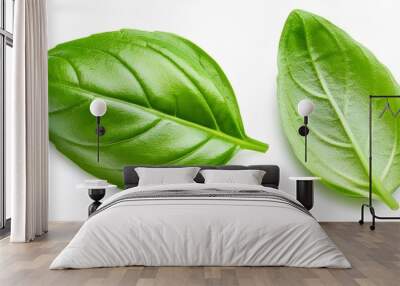 Set of Basil leaf isolated on white background. Macro. Top view. Wall mural