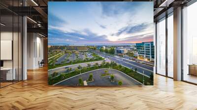 Silicon Valley Wall mural