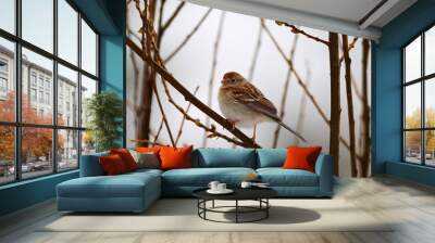 Field Sparrow Wall mural