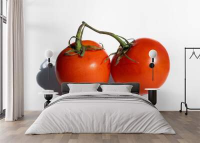 two round red tomatoes on green vine on white background with shadow Wall mural