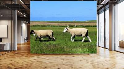 Nordsee Wall mural