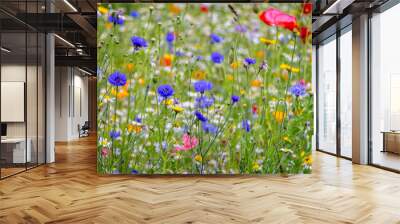 Close up of multi coloured wild flower garden Wall mural