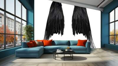 two big black raven wings with big feathers isolated on white background Wall mural