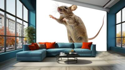 A mouse, standing on hind legs, gesturing with front paws isolated on white background Wall mural