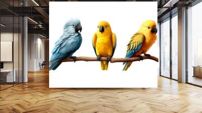 Group of 3d Macaw bird animal cartoon, isolated on transparent or white background Wall mural