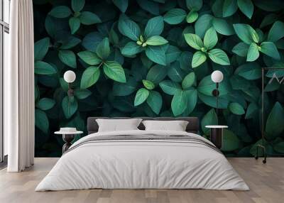 Dark green leaf texture, Natural green leaves using as nature ba Wall mural