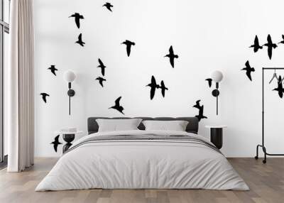 png herd of birds fly on clear backgroung Wall mural