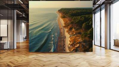 Curonian Spit wth Baltic sea coastline on sunset. Kurshskaya kosa national park near Zelenogradsk. Kaliningrad region. Aerial view Wall mural