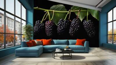 Delicious and ripe black mulberries against a dark background.A black mulberry suspended in midair Wall mural