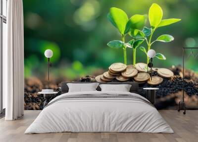 A small plant is growing on top of a pile of coins, Growth and prosperity Wall mural